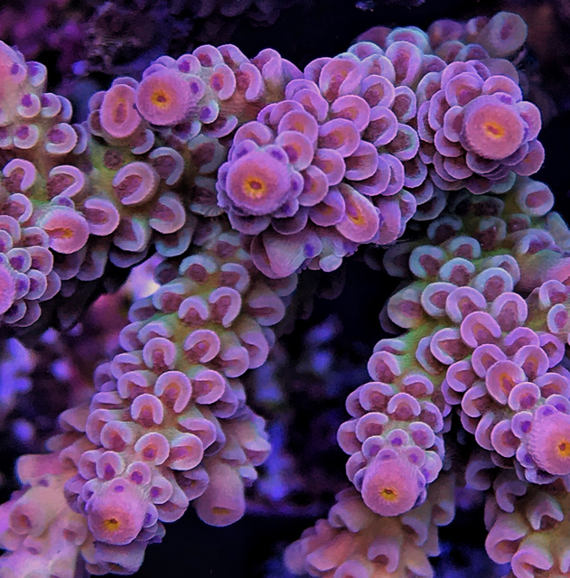 62257384d2a34c4e0dffc4bbd0c1fb8d.jpg