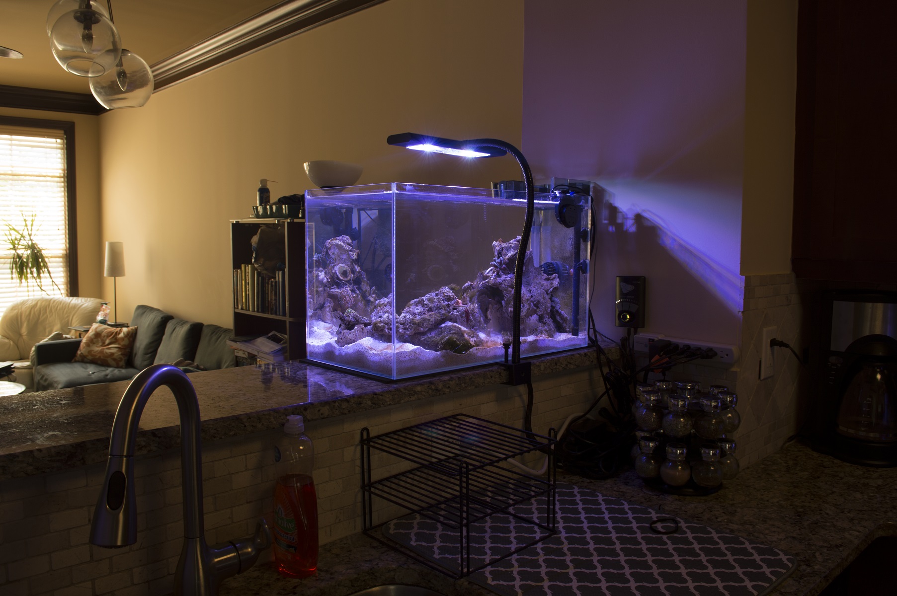 Tank8.JPG