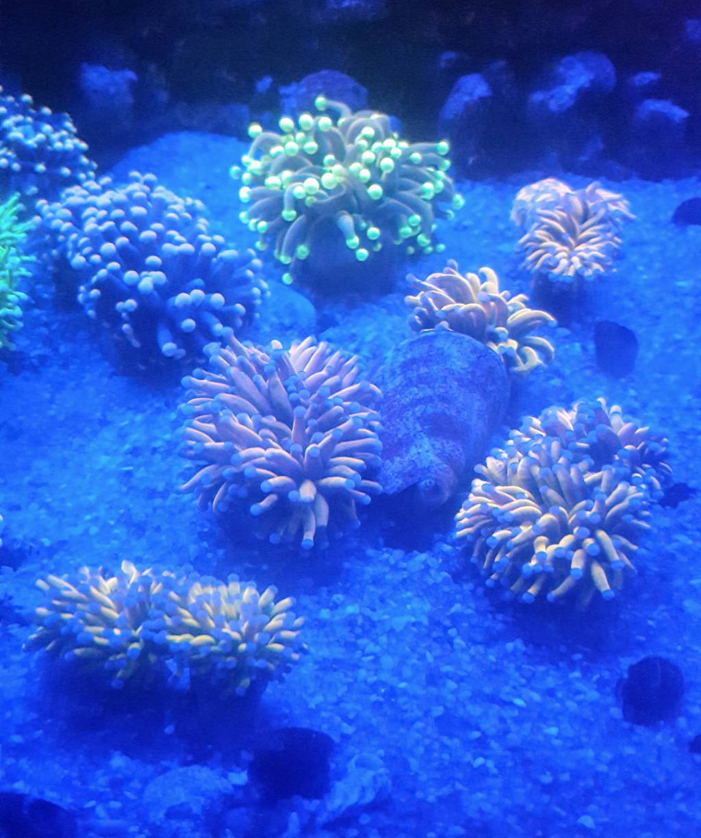 36e209aef8405ccdce93018fd08bead1.jpg