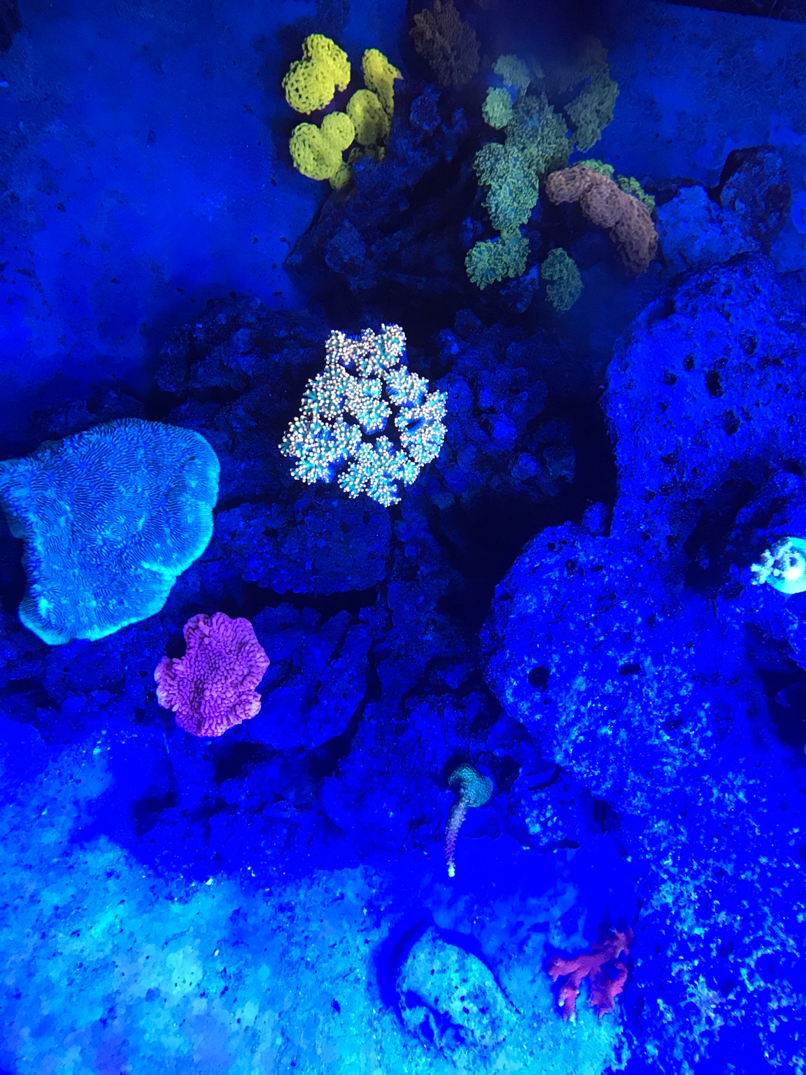 c02ada4b489841eea62cc9b14e87f6ce.jpg