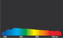 spec2_daylight.jpg