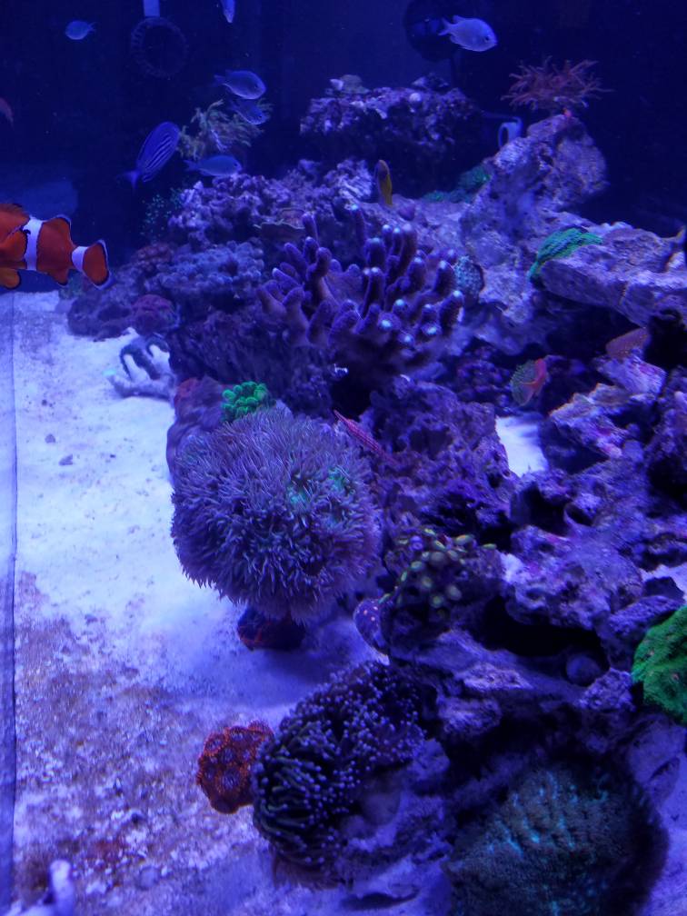 29b03fd7821084669c59e909f7adc732.jpg