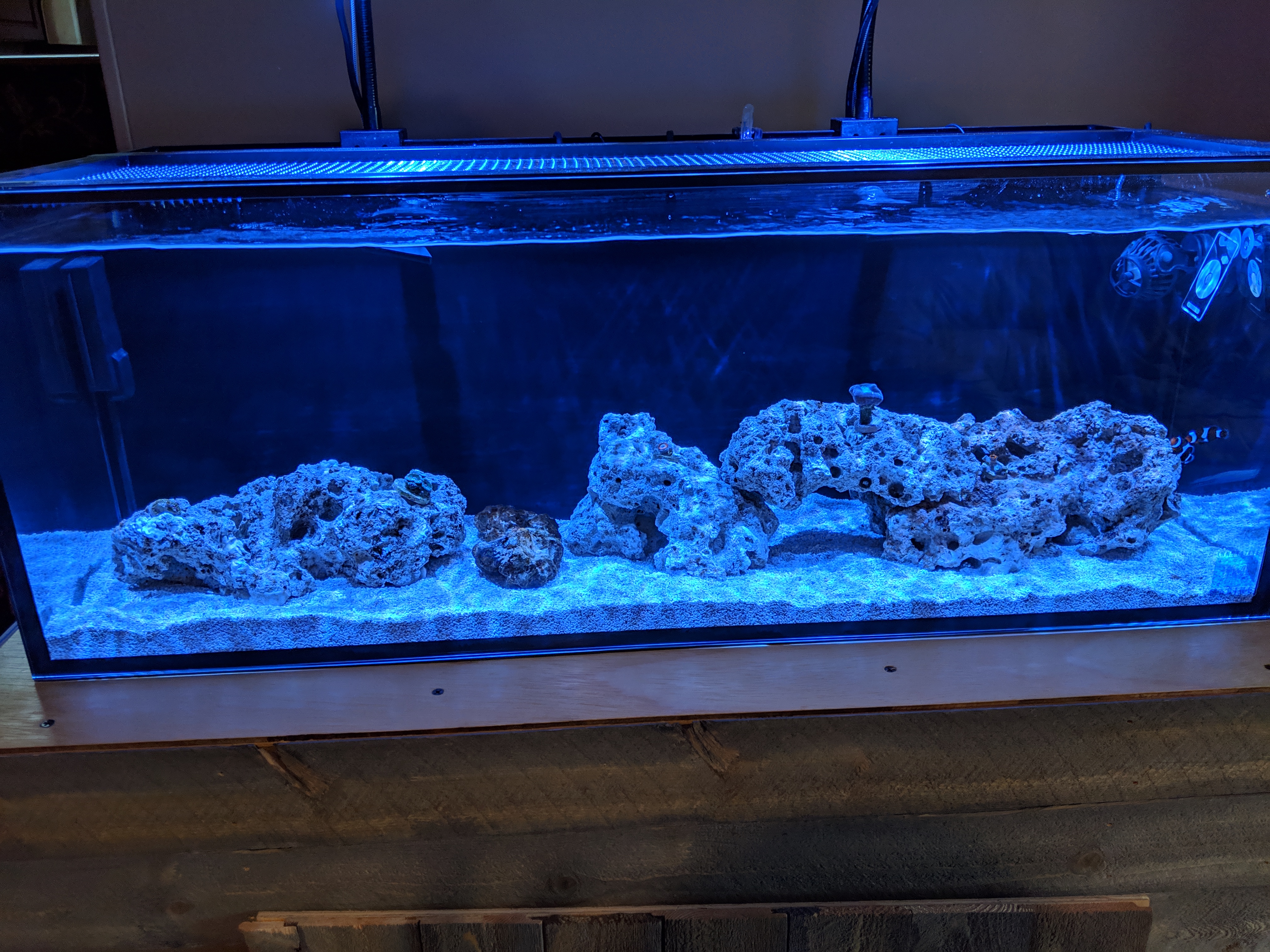 AIO Build - Innovative Marine 30 Gallon Long AIO Build | Page 2 | Reef2Reef