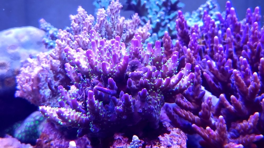 8177e435ebad4c3c443f54b2c25eb0b7.jpg
