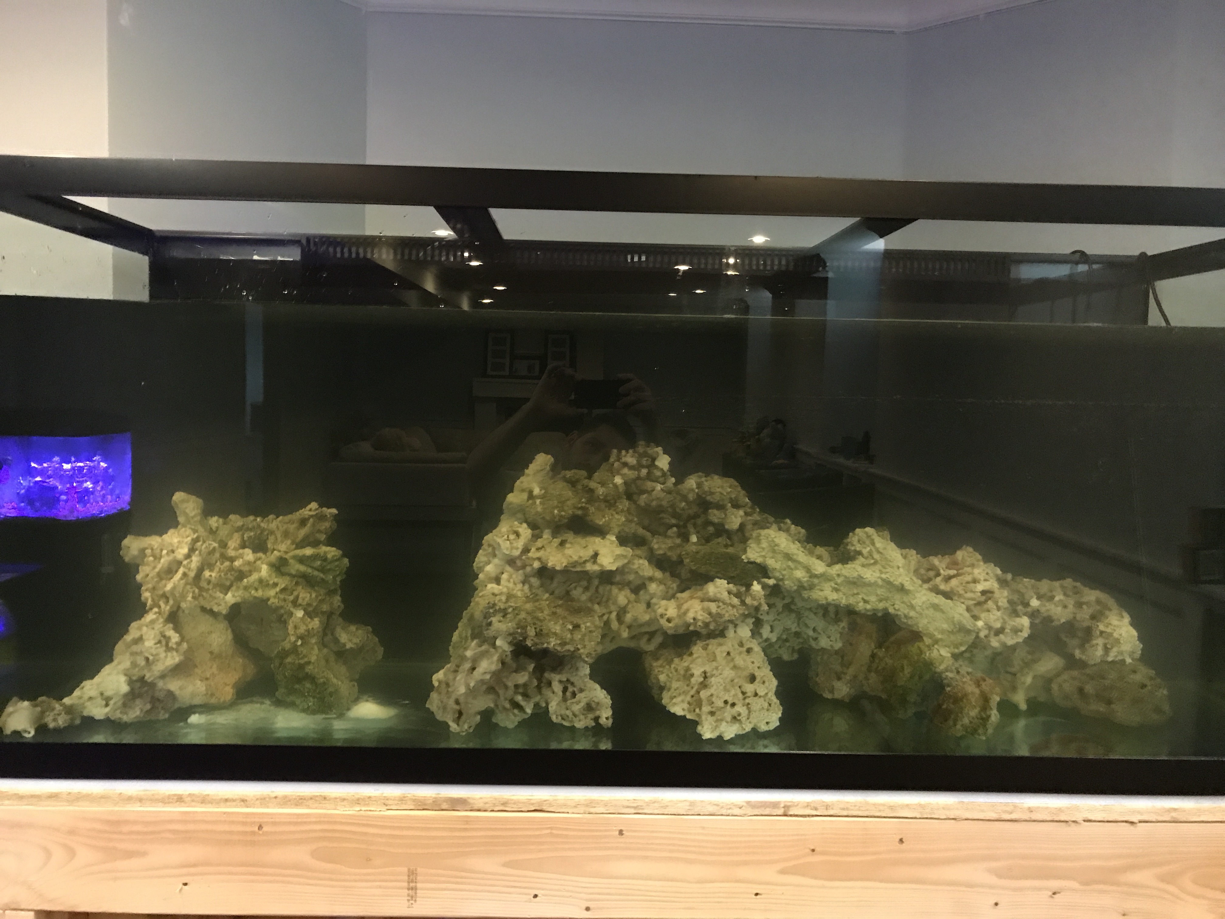 lsMRhyu.jpg