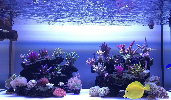 new-scape.jpg
