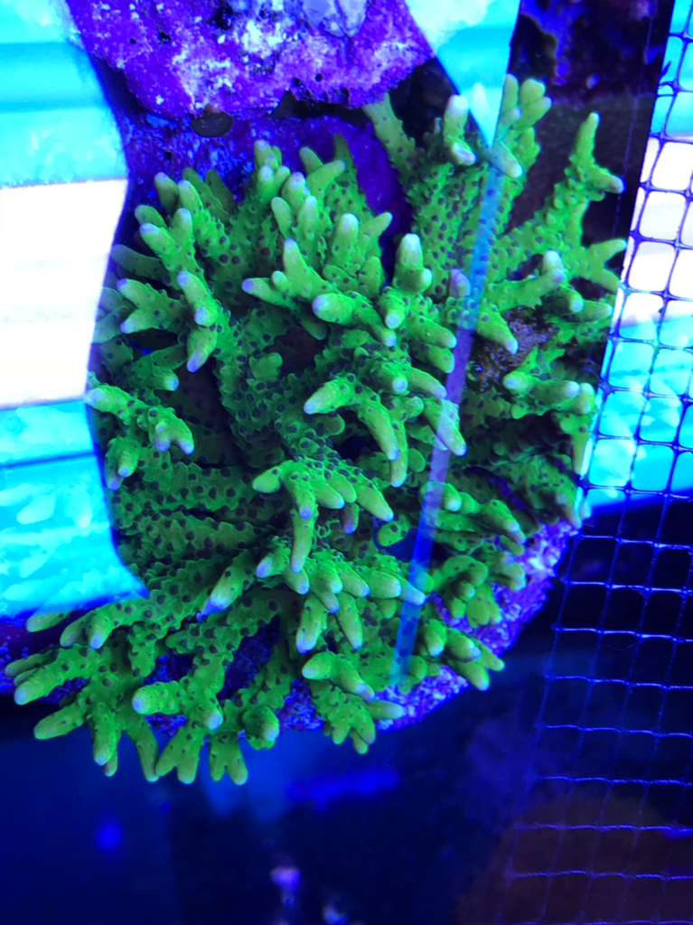 f8fc3c730da4e018ee3eb64721cf02bc.jpg