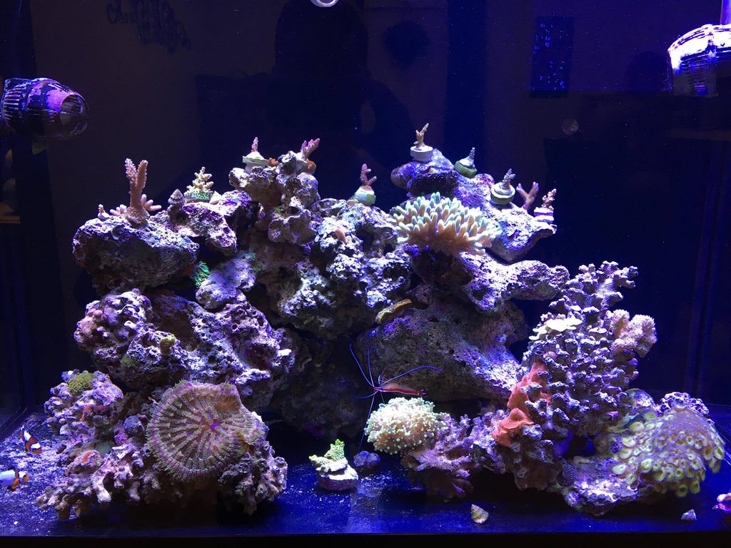 PHMw088.jpg