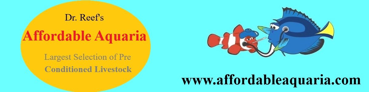 AA banner.jpg