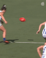 Hit Demons GIF by Melbournefc