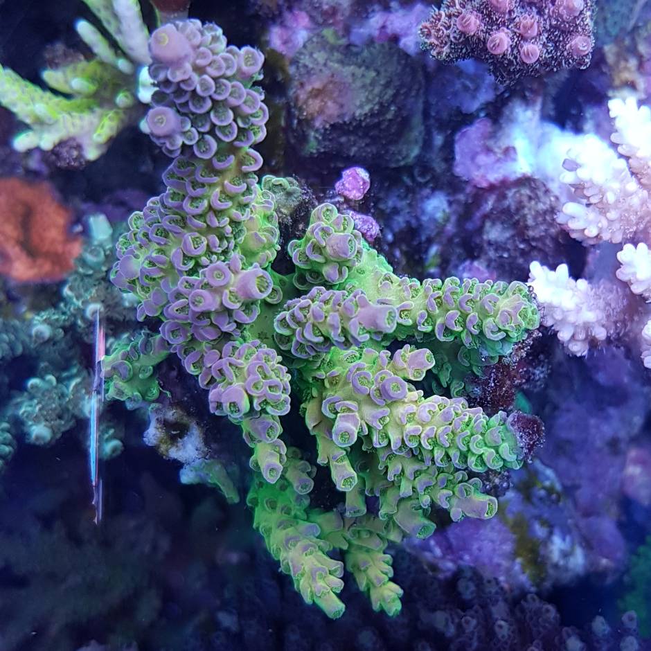 61c4fd1ec00cf3927b0bdda47486f5b3.jpg