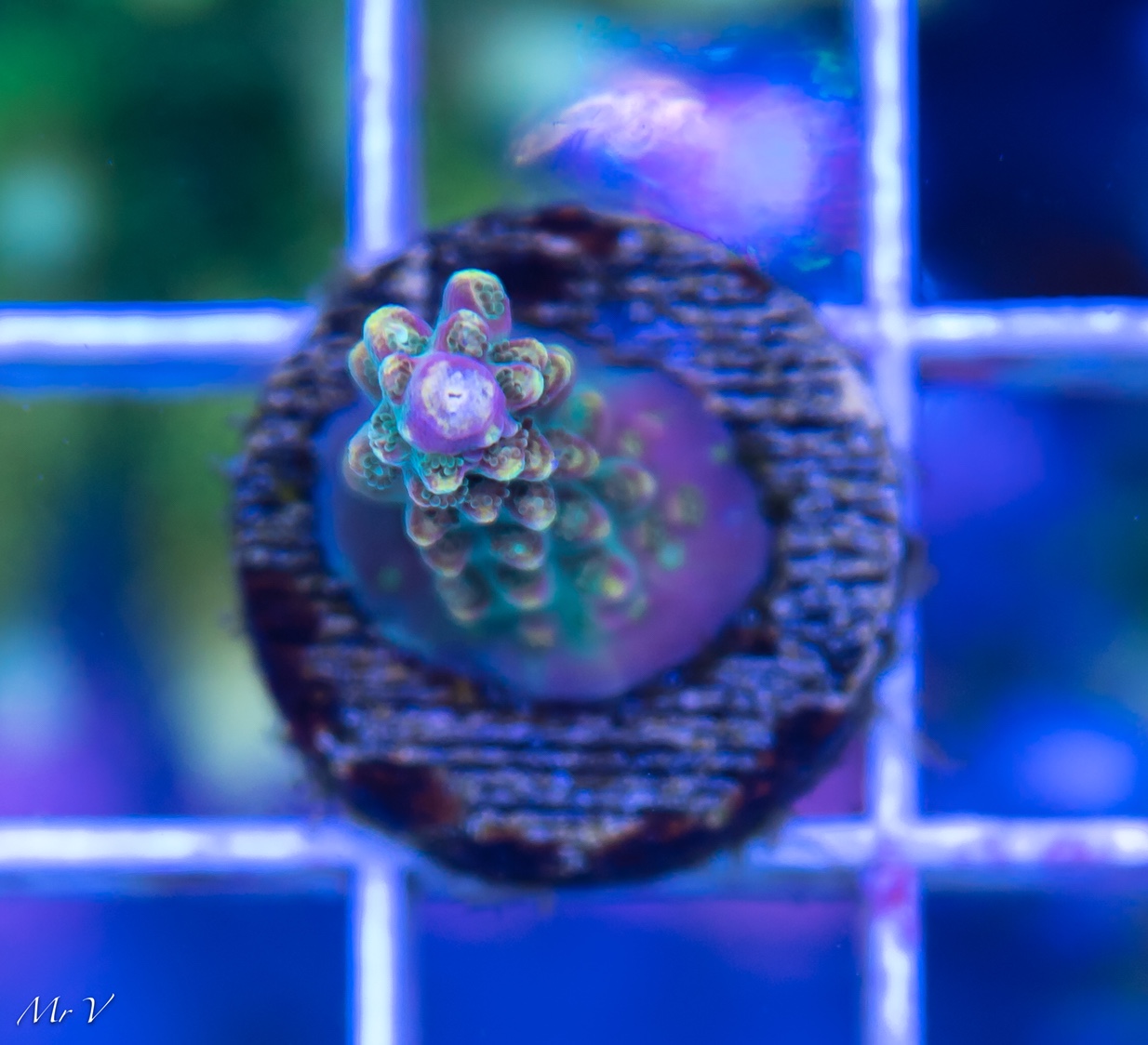 043f5624993d2b403b246ca6d4f8536d.jpg