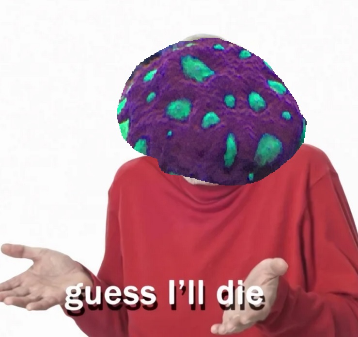 jyoacKX.jpg
