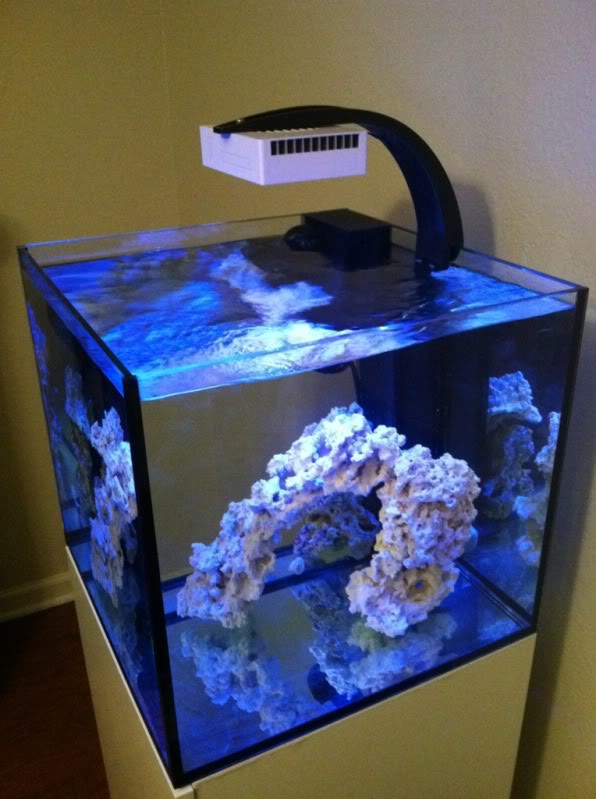 FS: Aqua Illumination Nano LED REEF2REEF Saltwater and Reef Aquarium