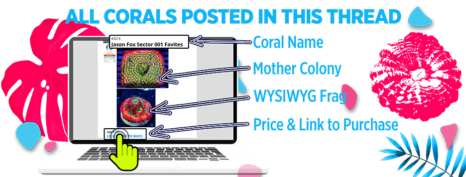 all_corals_in_this_thread.png