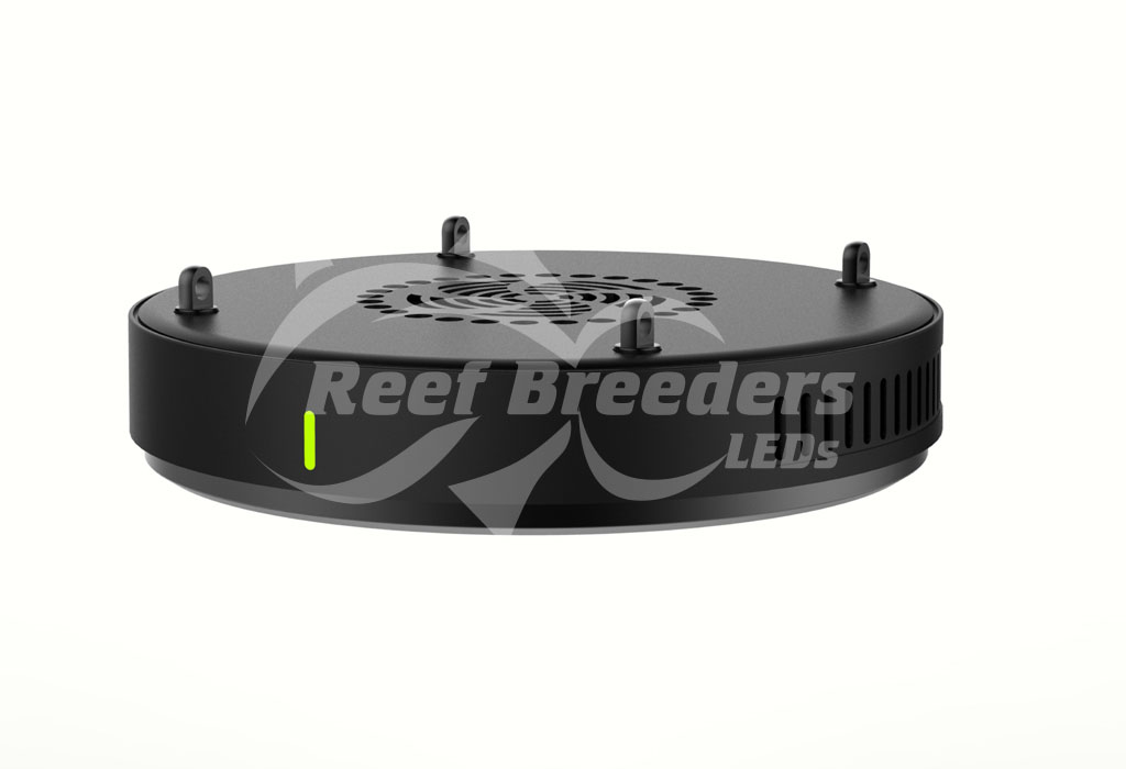 www.reefbreeders.com