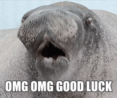 Excited Best Wishes GIF