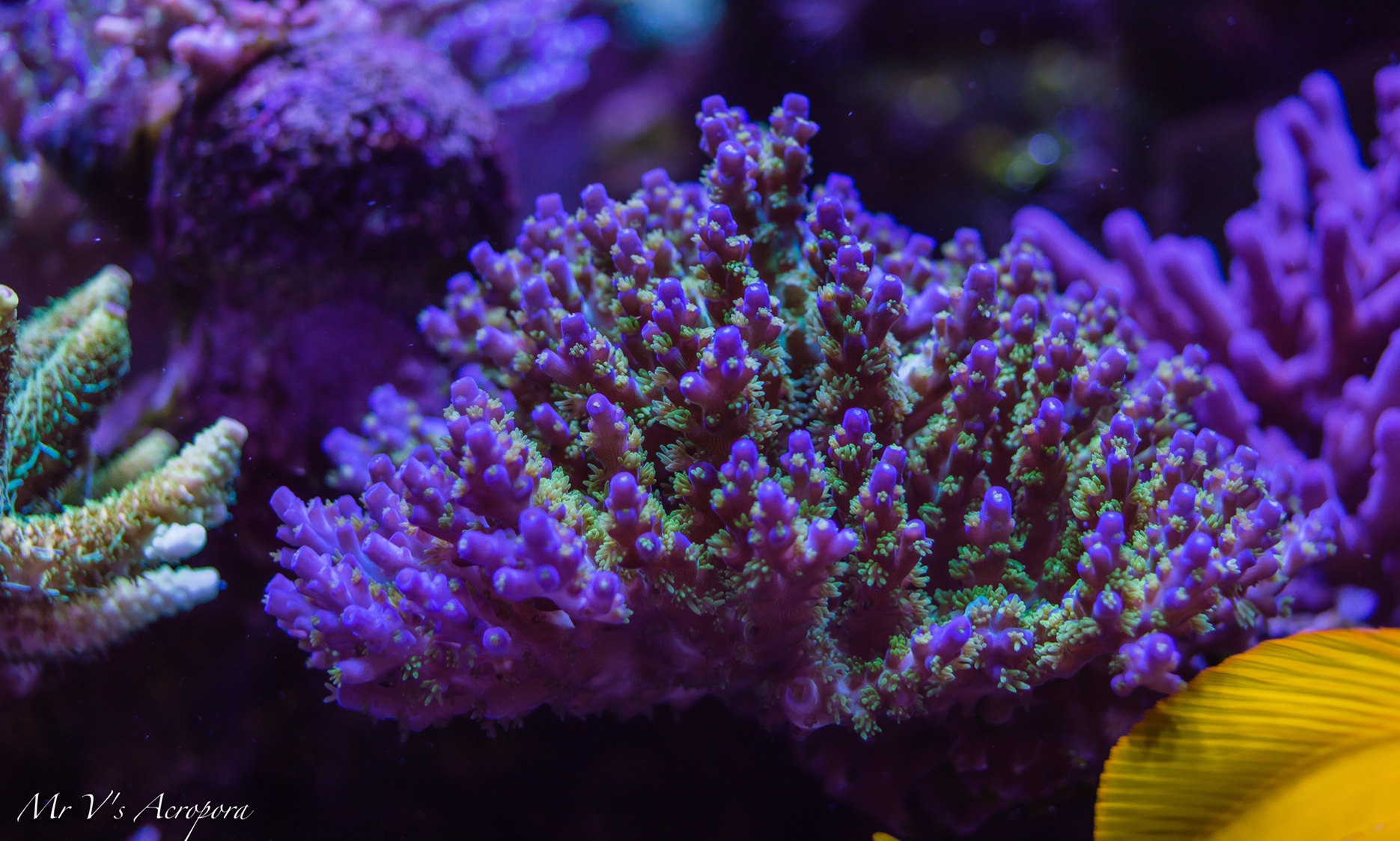 b6c569adfbb7ef456fd07b269bc5f3a5.jpg