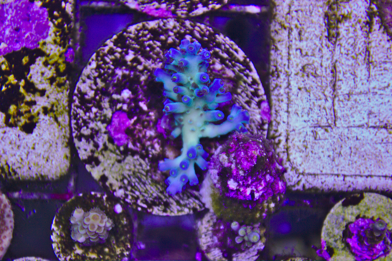 rIlm1oZ.jpg