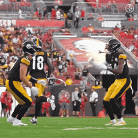 Football Win GIF by Pittsburgh Steelers