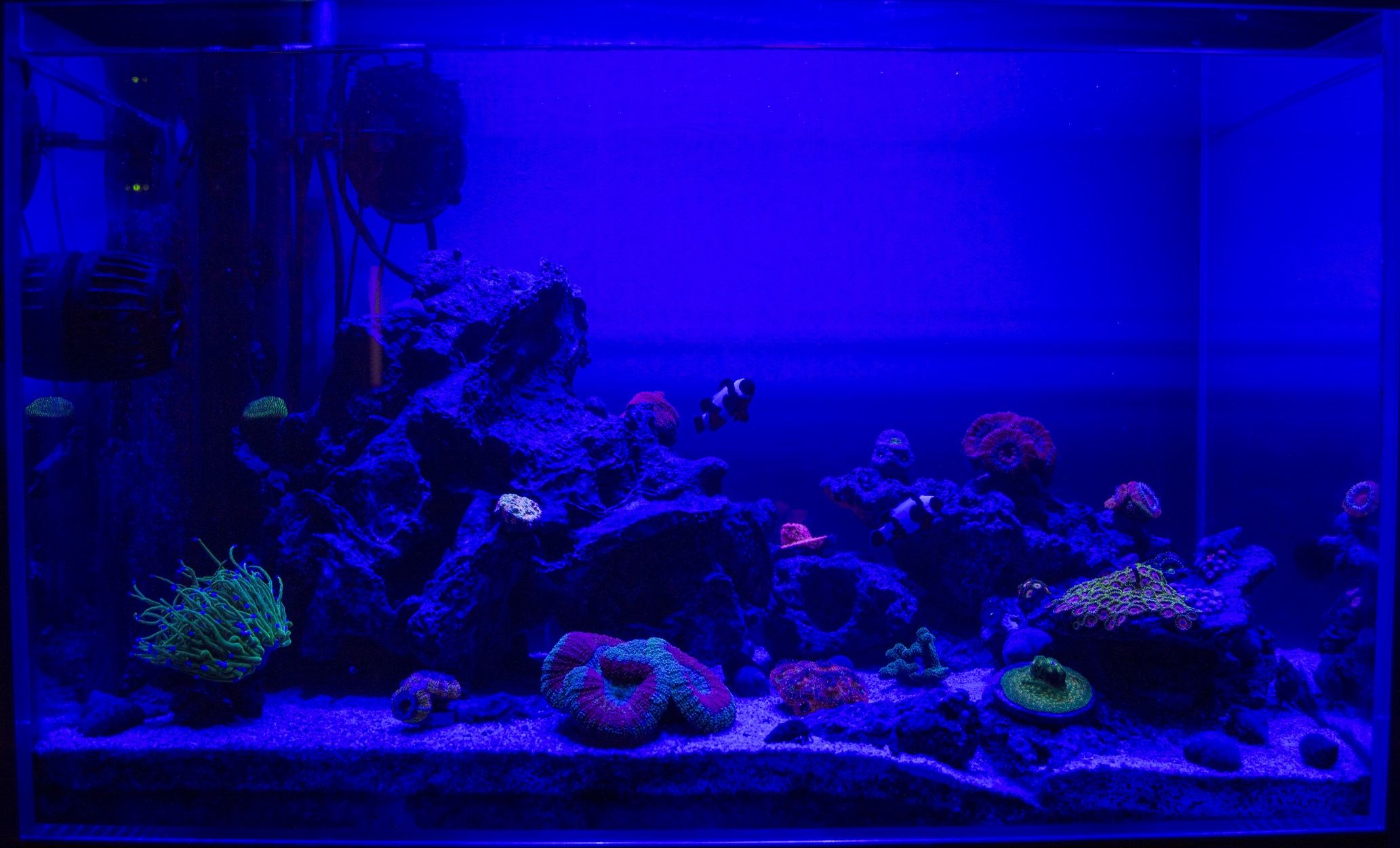 FTS3.JPG