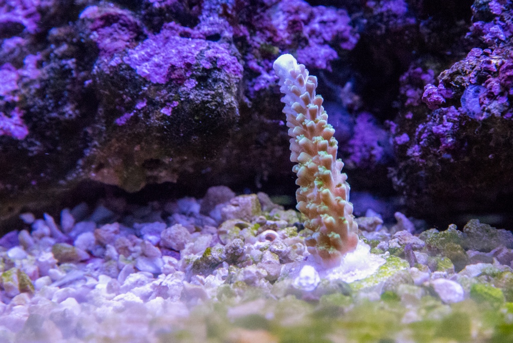 DSC_1611.jpg