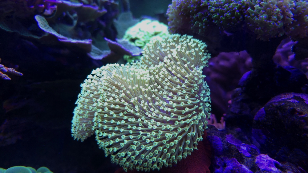 e3d1c5e0295f3d4faba627951e37737d.jpg