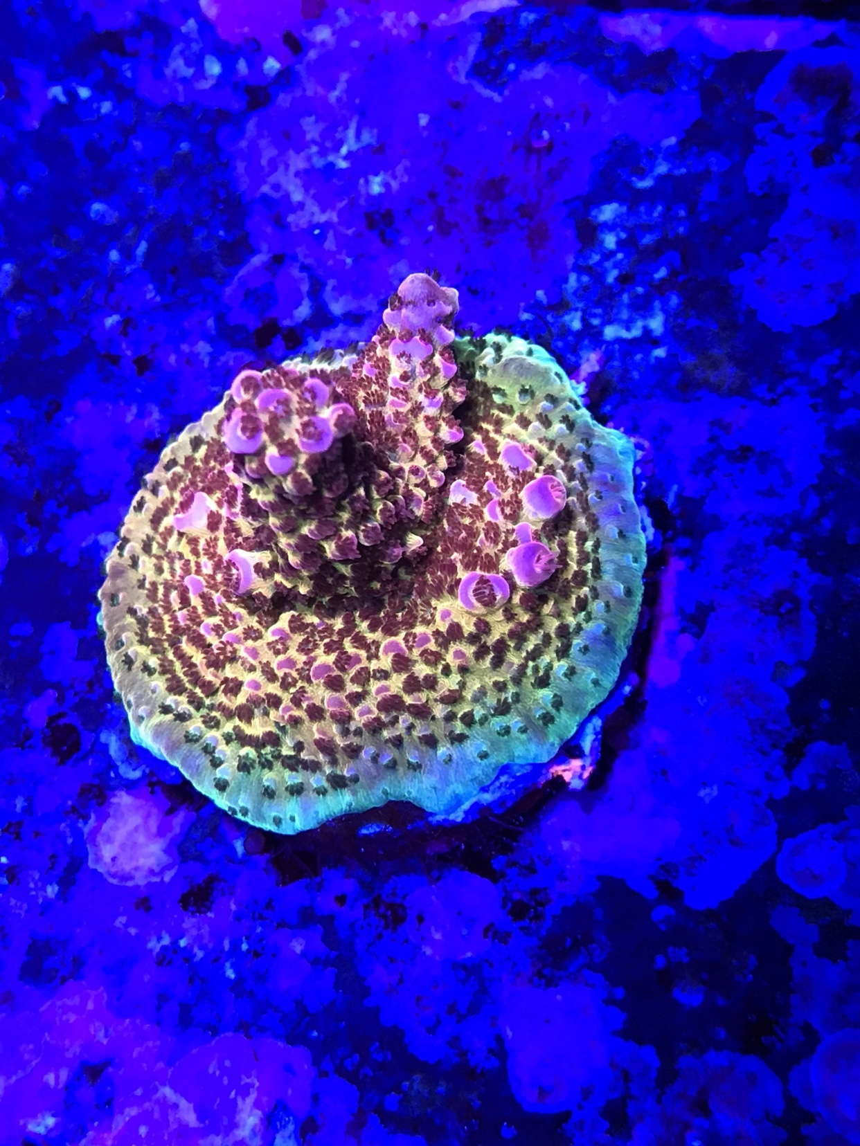 9ea2b5213e6a0f906de3717baaaea58e.jpg