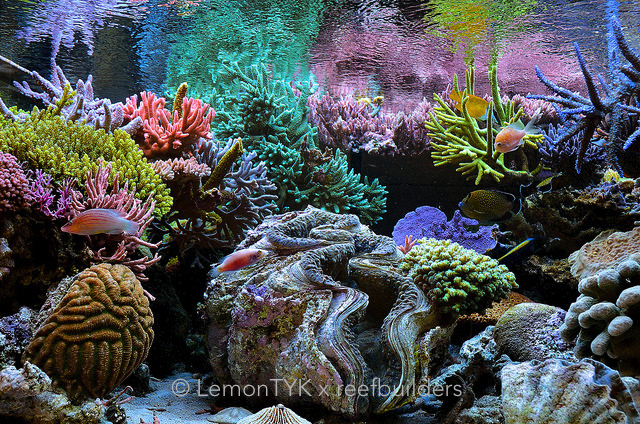 FTS.png
