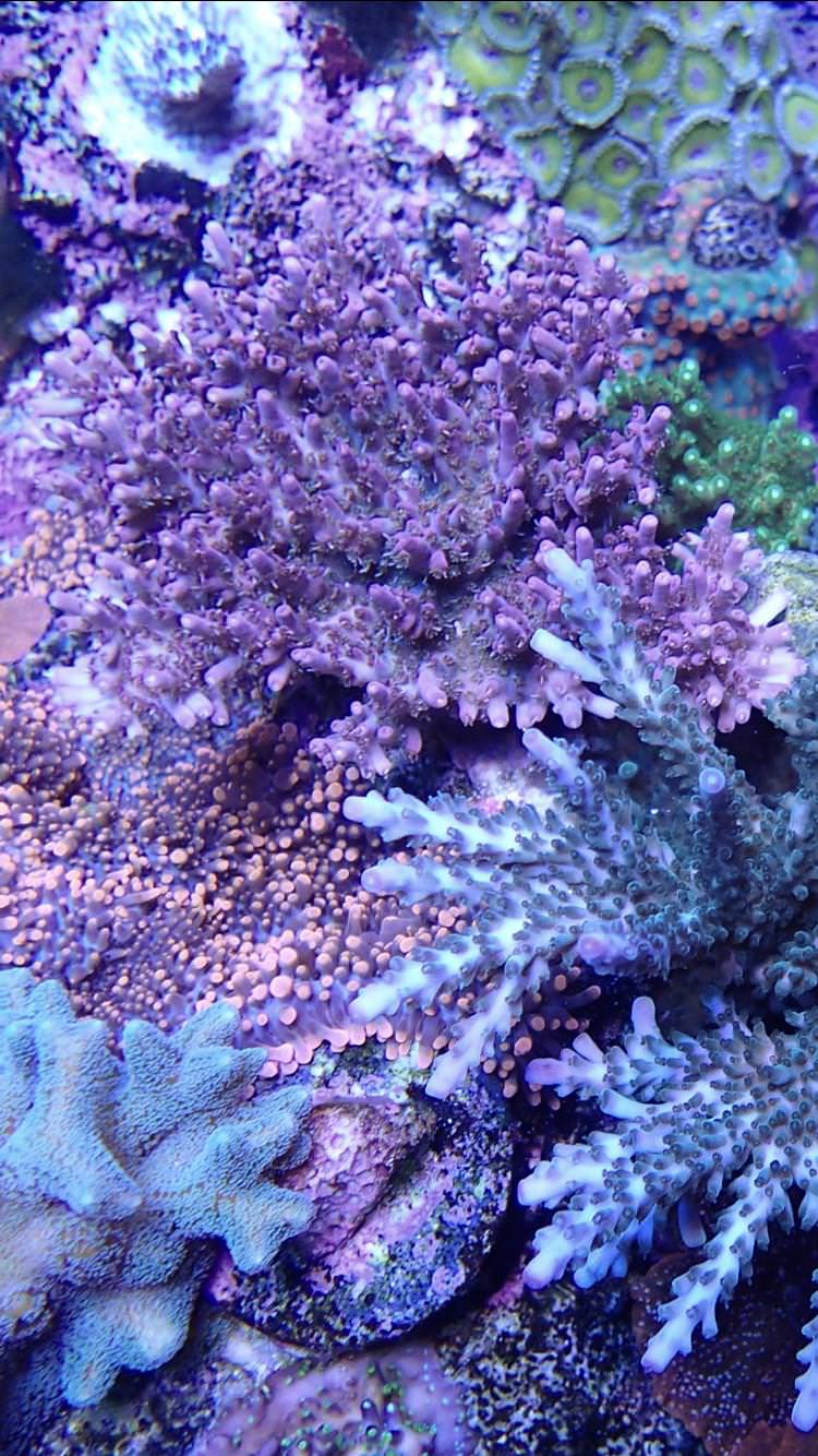 xmJ9zo7.jpg