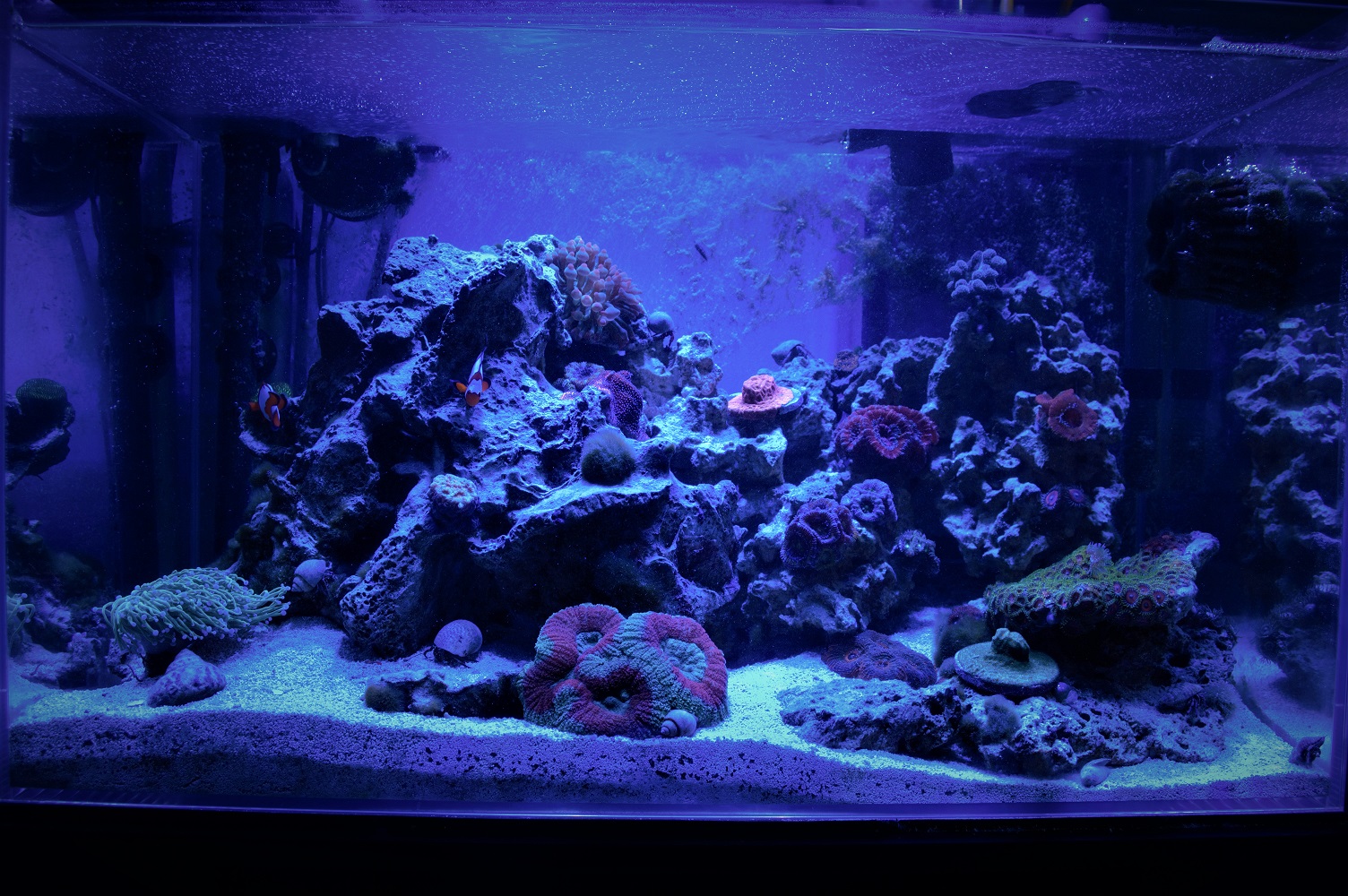 FTS.jpg
