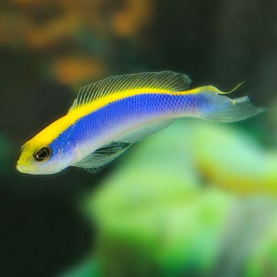 133500L.jpg