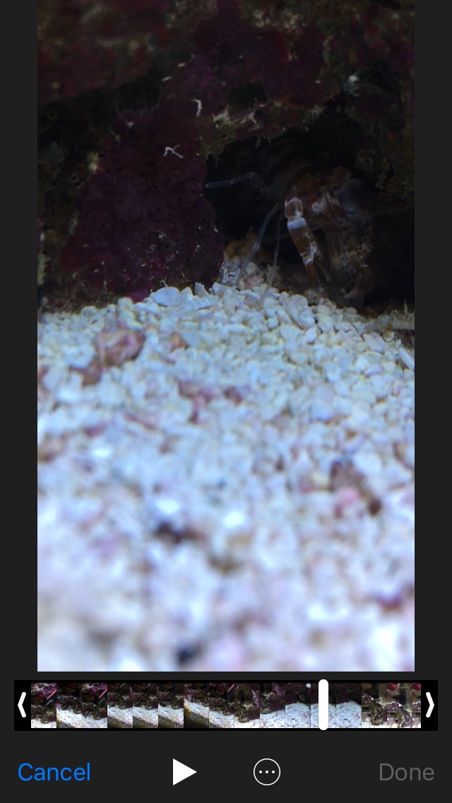17a06fdfd4c70854c73af85b83fe86e3.jpg