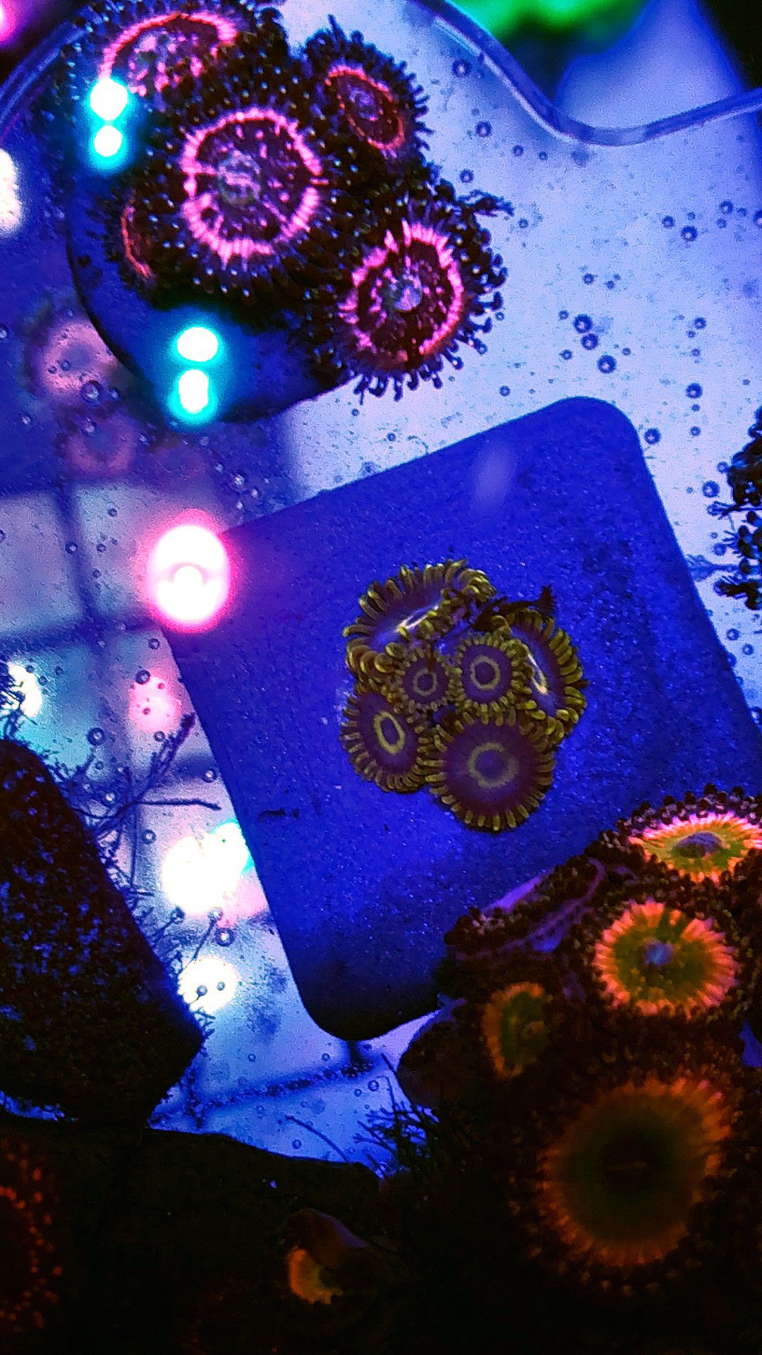 f8e940a6e9e0fe4e94dea890679922a8.jpg