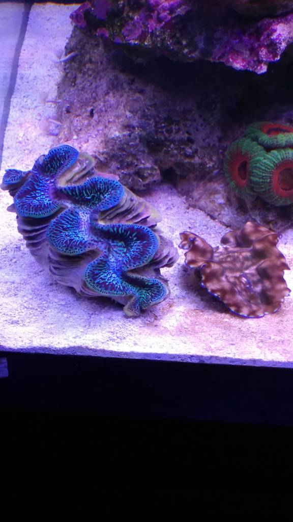 6d2e44c7e5cca560d2d5f8a3e35e9ef1.jpg