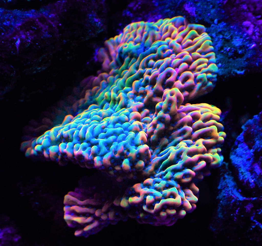 EIV7cg6h.jpg
