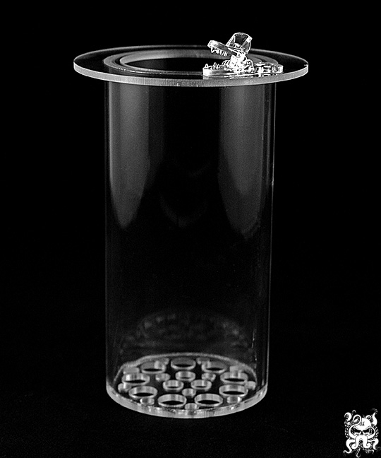octo-cup01.jpg