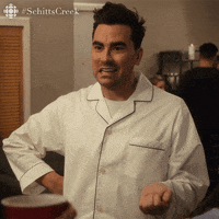 Schitts Creek what the heck GIF by CBC