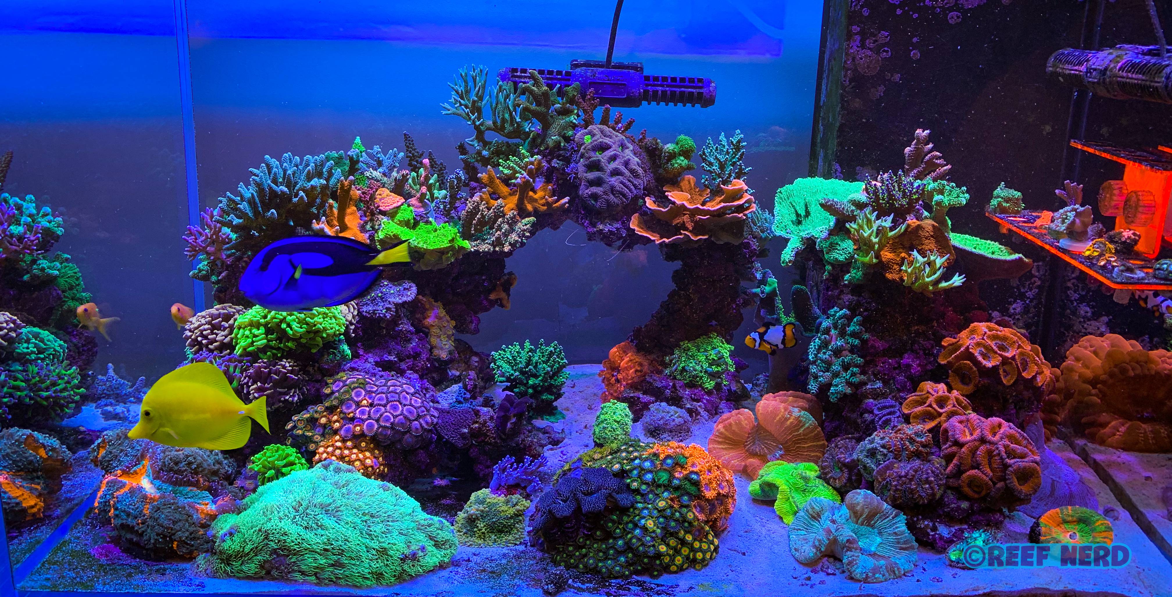 O6umBS0.jpg