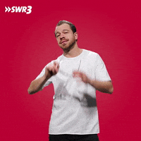 So Cool What GIF by SWR3