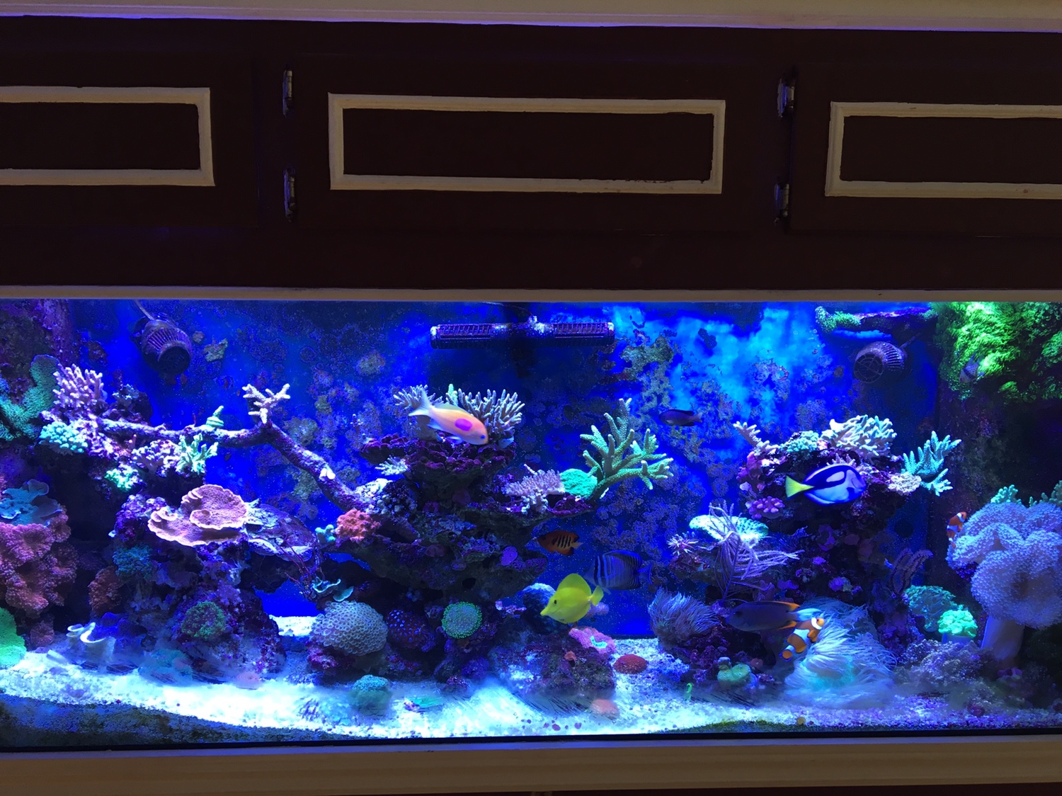 f6de31394d3b30cb164754167662f185.jpg