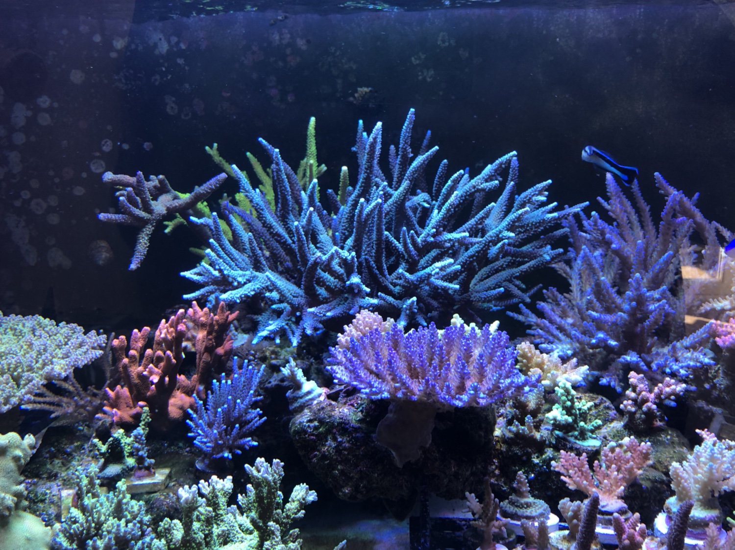 40d969c1e56f4af6604e1e6b35e44ea6.jpg