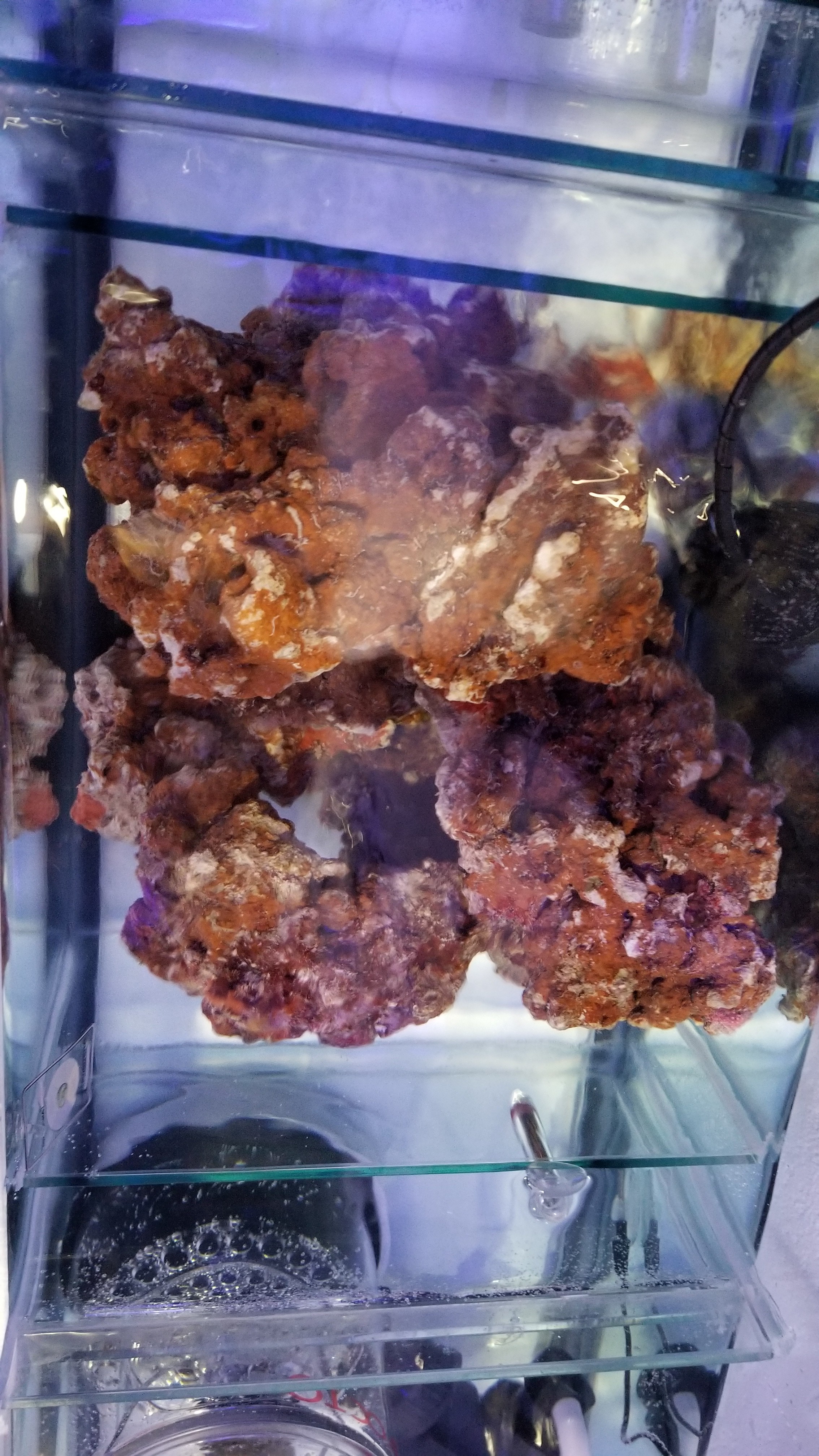Holding-Rock-In-Sump.jpg