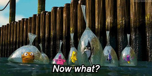 nemo-end.gif