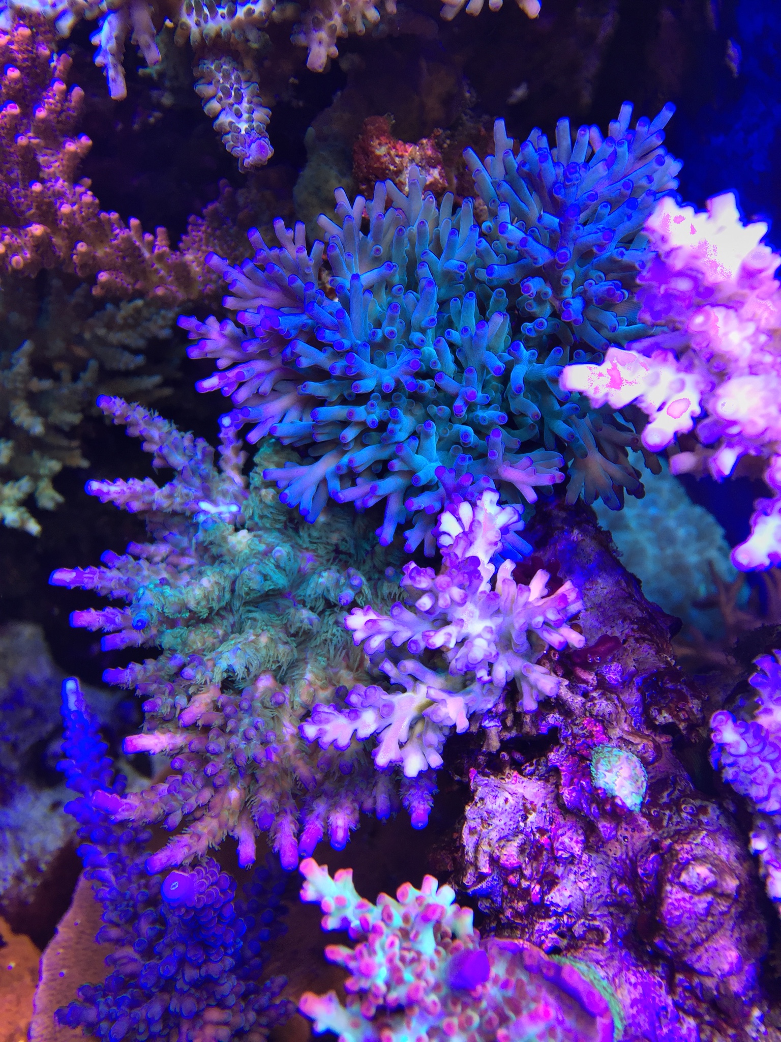d4ba2adcbea5c9e9fc59e376ee04f756.jpg