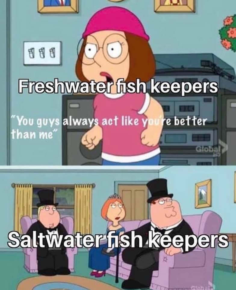 nu6aIdw.jpg
