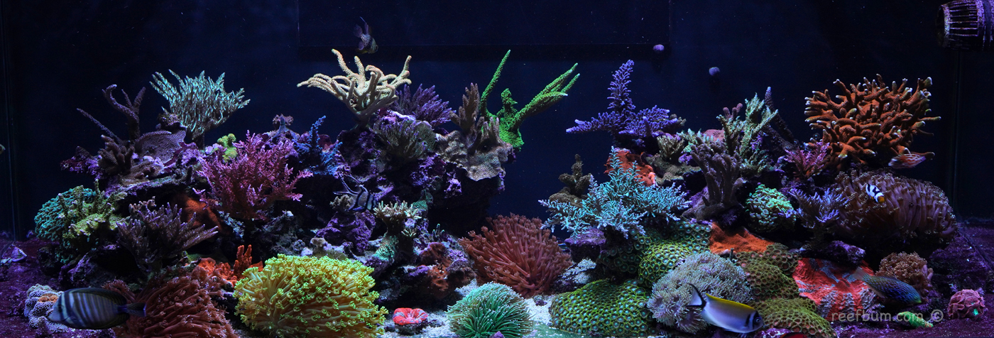 Full-Tank-Pic-May-13-2019.jpg