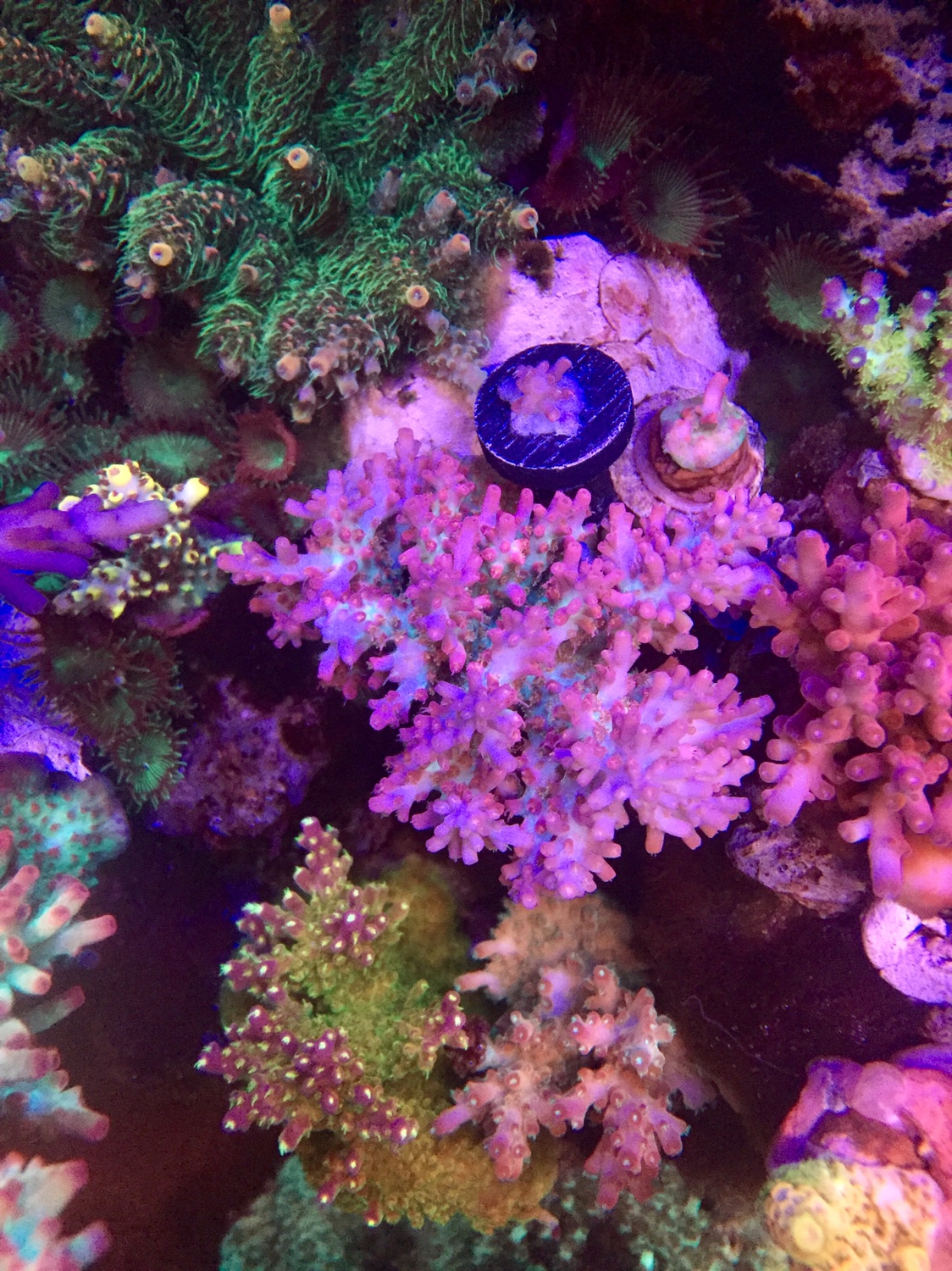11b6b2e80abd08c9075ba77bbd55c8fc.jpg
