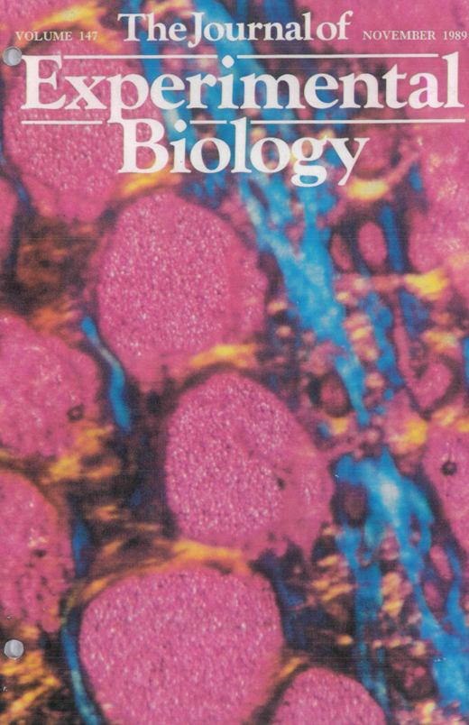 journals.biologists.com