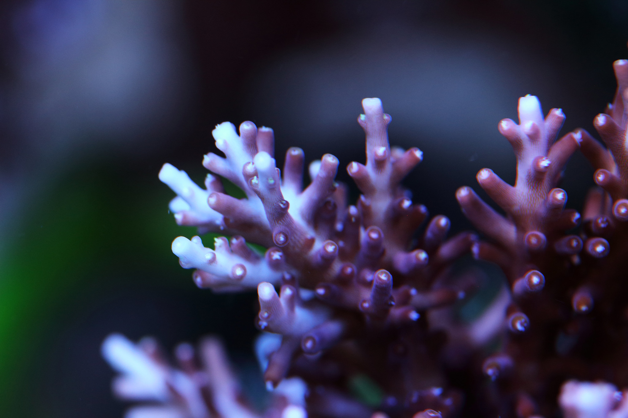 47255905681_c344ab6d75_k.jpg